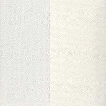 White Dove