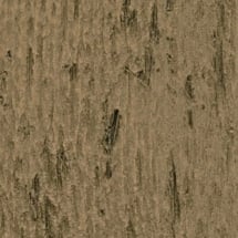 Timberwood Pecan