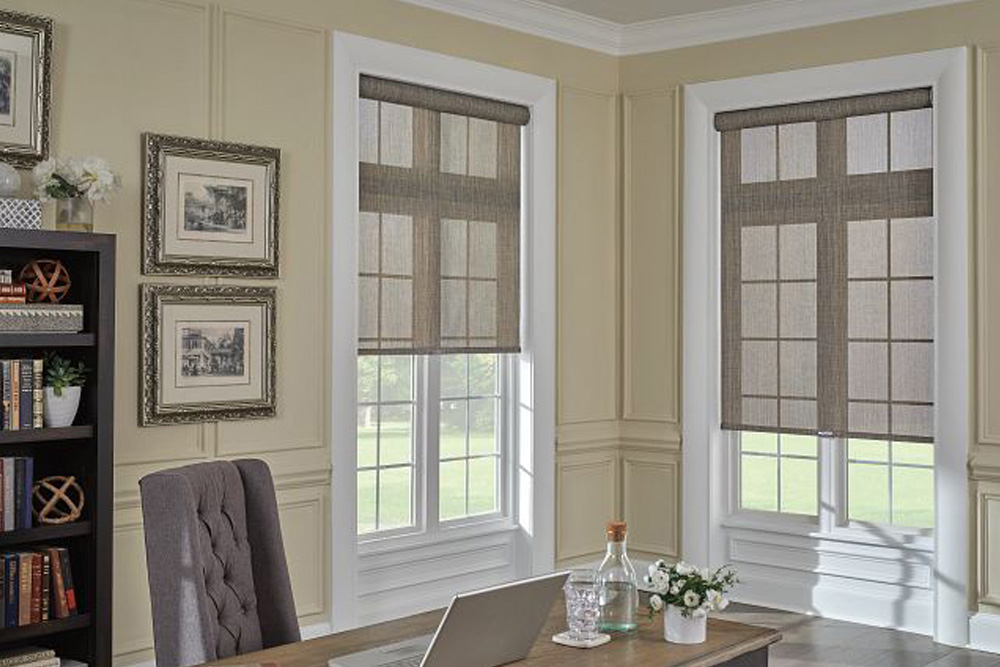 Introduction to Roller Shades image
