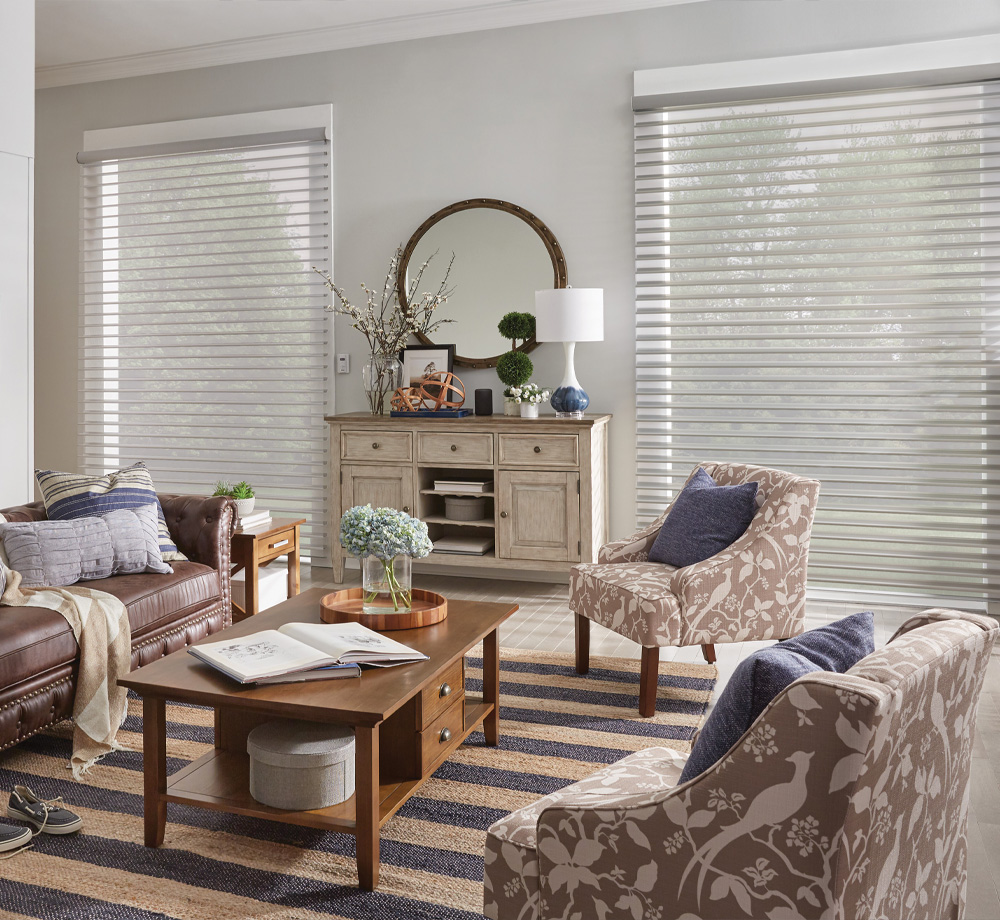 A Guide to Choosing the Best Sheer Shadings for Your Home image