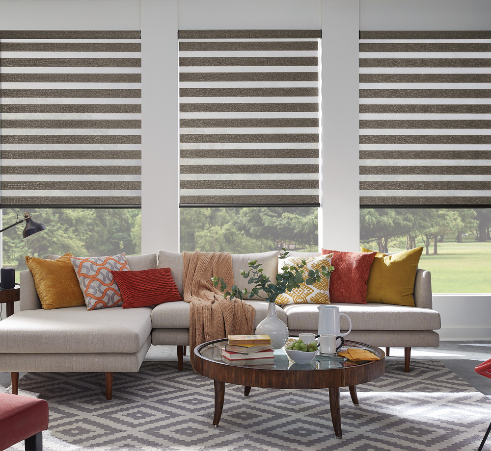 Why Sheer Shadings Are the Ideal Window Treatment for Your Home image