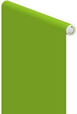Reverse Roll