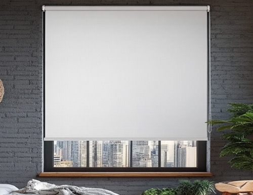 Modern Blackout Roller Shades Color Preview