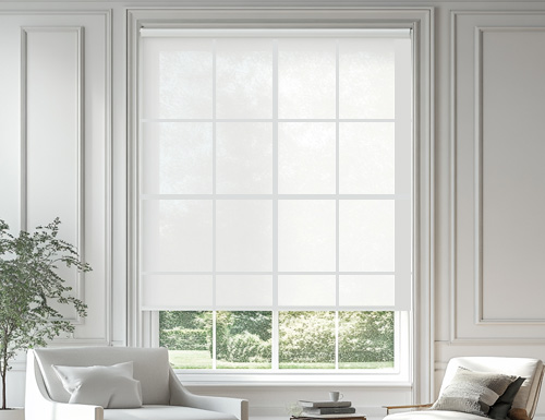 Eclipse Screen Roller Shades Color Preview