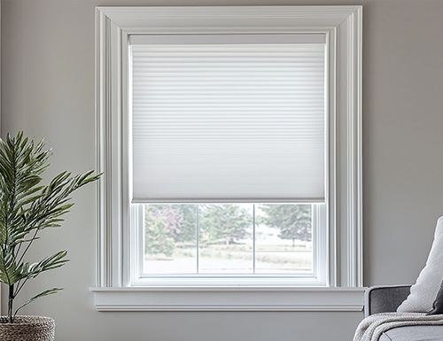 Express Cordless 9/16" Light Filtering Cell Shades Color Preview