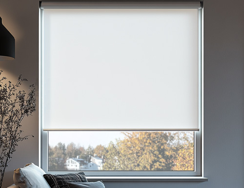 Premium Light Filtering Roller Shade Color Preview