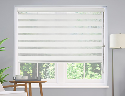 Zebra Solar Shades Color Preview