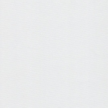 Denver White Out